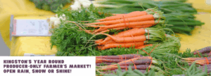 Carrots on a table at the indoor market